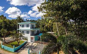 The Beach Pad Puntas